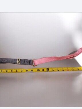 Pink and Gray Leash with Velvet Handle Gold 'R' Accent